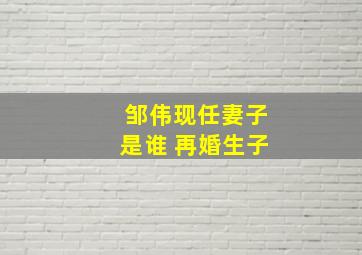 邹伟现任妻子是谁 再婚生子